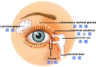 導(dǎo)致見風(fēng)流淚的原因有哪些